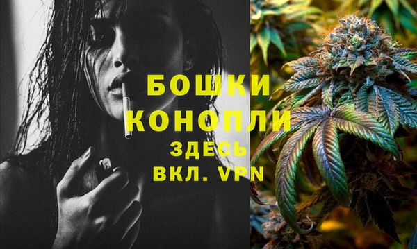 стаф Вязьма