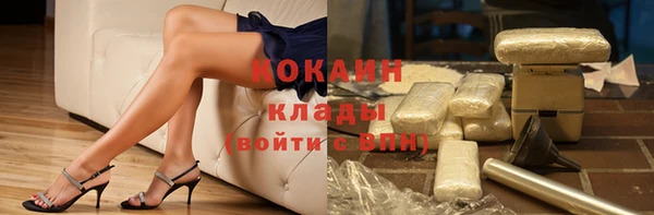 стаф Волоколамск