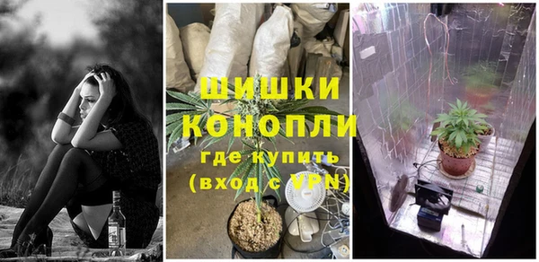 стаф Волоколамск