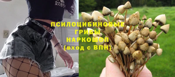 стаф Вязьма