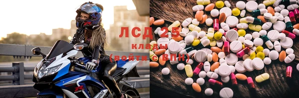 стаф Волоколамск