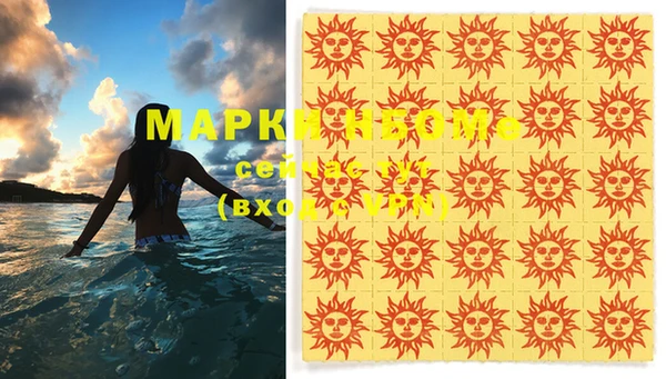 стаф Вязьма