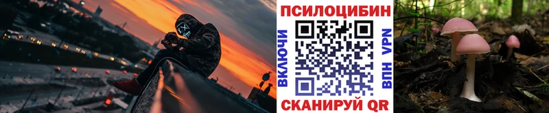 цены наркотик  маркетплейс клад  Галлюциногенные грибы мухоморы  Льгов 